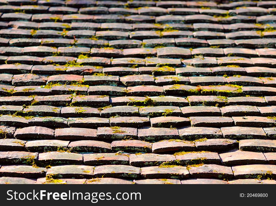 An old tile roof with moss. An old tile roof with moss