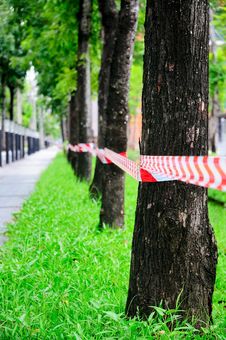 No Entry Through The Tree Row Stock Photo No Entry Through The Tree Row Stock Photo