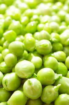 Green Peas With Waterdrops Stock Photo Green Peas With Waterdrops Stock Photo