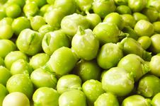 Green Peas Stock Image Green Peas Stock Image