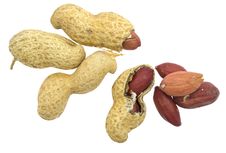 Peanut Isolated On White Royalty Free Stock Photos Peanut Isolated On White Royalty Free Stock Photos