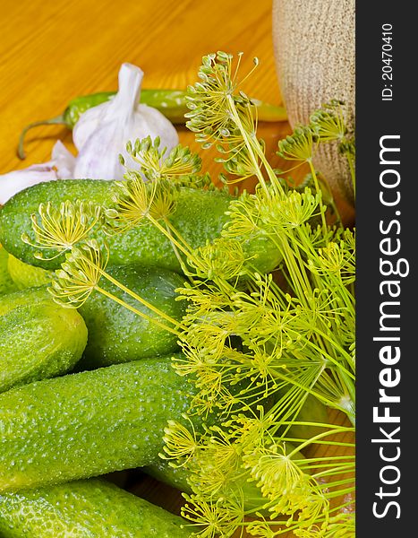 Fresh Polish garlic cucumbers with piquant garlic mark. Fresh Polish garlic cucumbers with piquant garlic mark