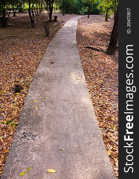 Concrete footpath with fallen leaves