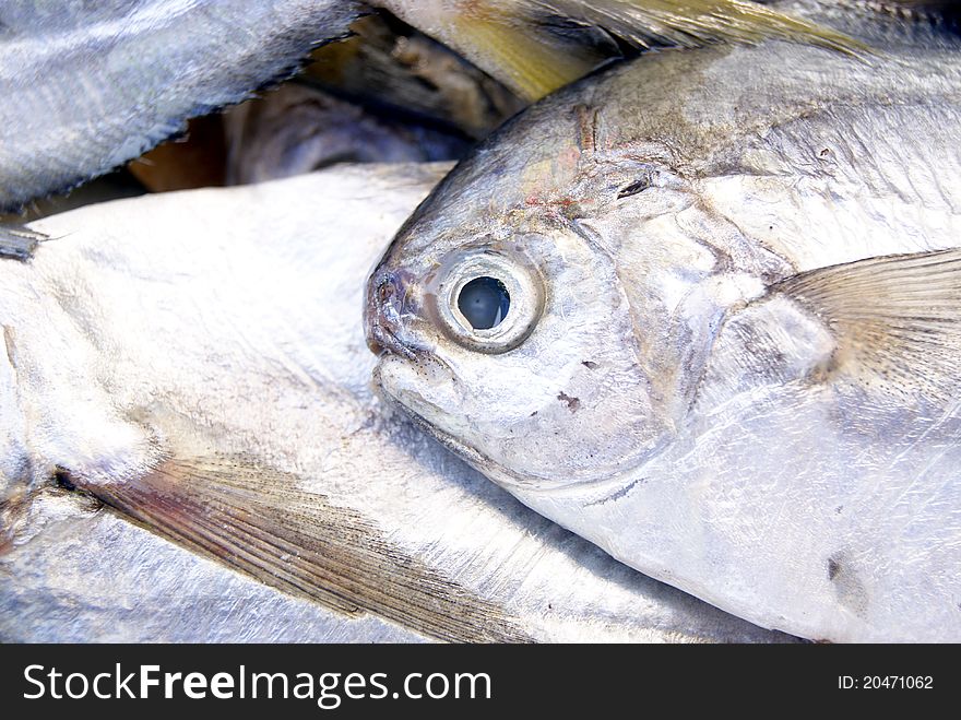 Fish and seafood market in, waiting for people to buy.