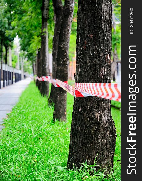 Red-white strip on a tree row, No entry through the tree row