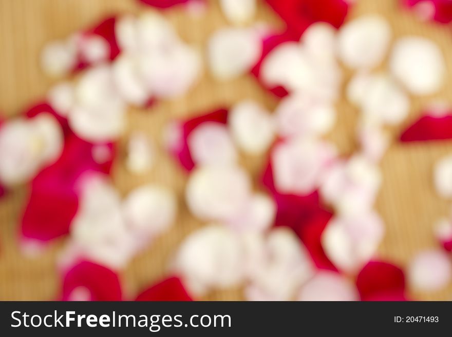 Beautiful red rose petals scattered and on a wooden surface. Blurred