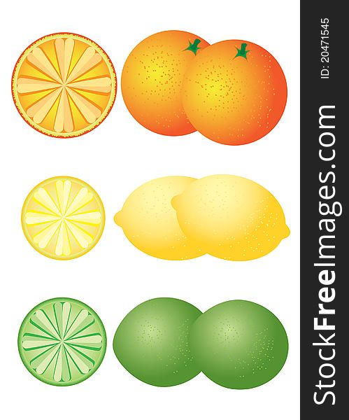 Set of citrus fruits