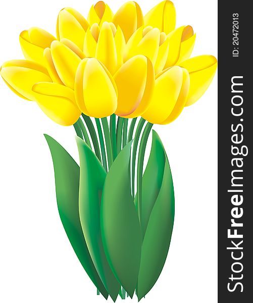 A bunch of lovely bright yellow spring tulips. A bunch of lovely bright yellow spring tulips