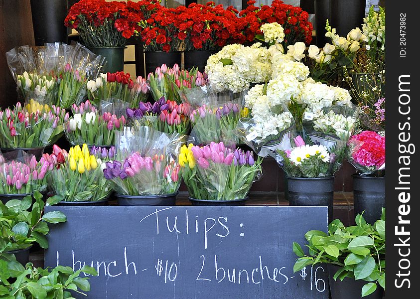 A tulip stand found in Philadelphia, PA.