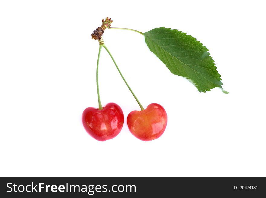 Cherry   isolated on white background