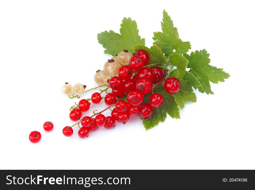 Red and white currant isolated on white background