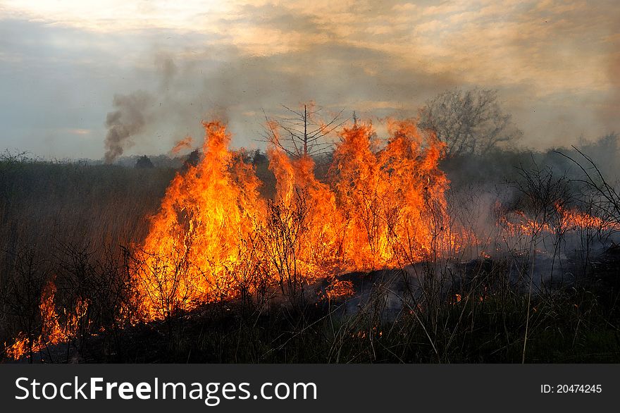 Each spring the Kansas Flint Hills are burned to replenish the grasslands. Each spring the Kansas Flint Hills are burned to replenish the grasslands