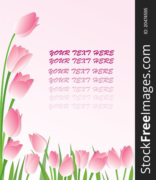 Vector of pink tulip flower background. Vector of pink tulip flower background