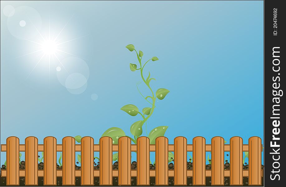 illustration green sprouts against the sky and the sun behind a wooden fence. illustration green sprouts against the sky and the sun behind a wooden fence