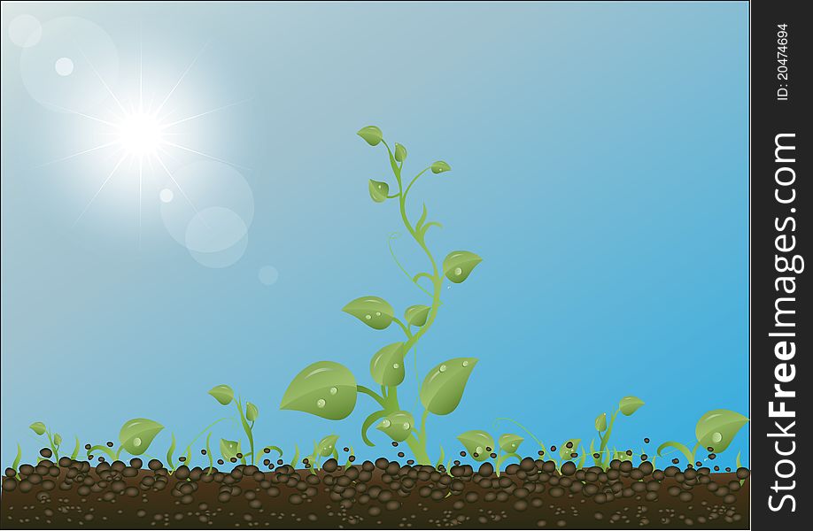 Green sprouts against the earth, the sky and the sun. Green sprouts against the earth, the sky and the sun