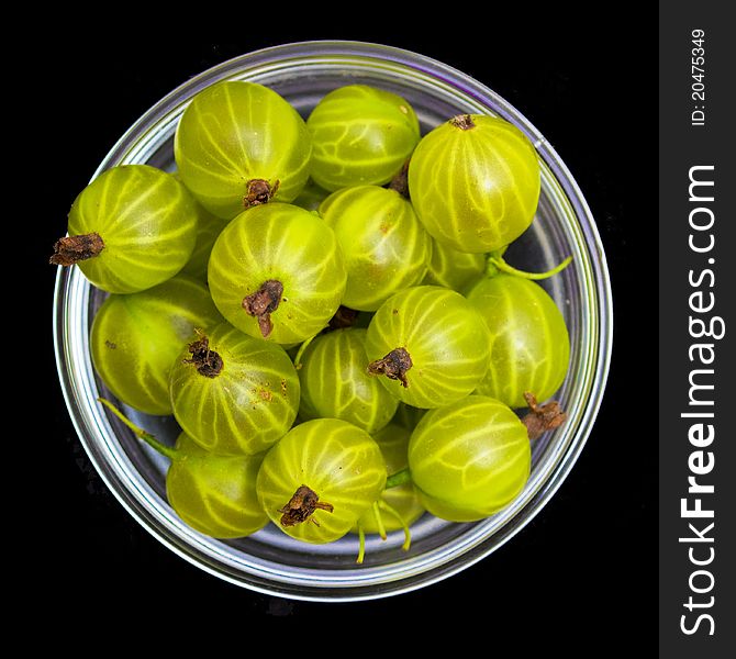 Gooseberries in a white bowl on black background