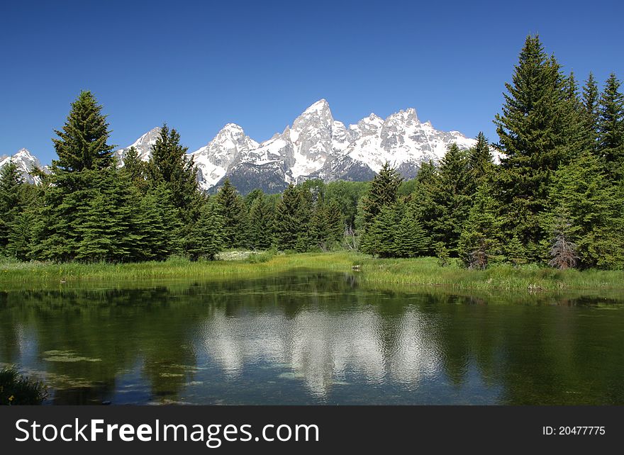Schwabacher’s Landing located in the Grand Teton National Park.