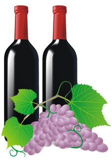Grape And Wine Royalty Free Stock Photo Grape And Wine Royalty Free Stock Photo