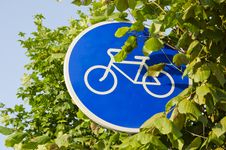 Bicycle Track Sign And Tree Leafs Stock Images Bicycle Track Sign And Tree Leafs Stock Images