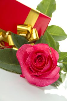 Red Rose, Gift Box Stock Photo Red Rose, Gift Box Stock Photo