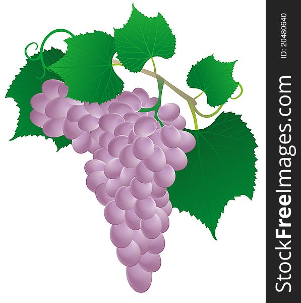 Pink grape with green leaf