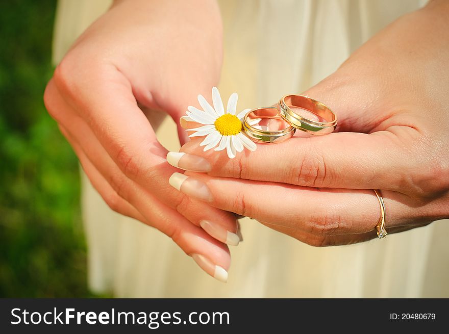 Rings of newly-married couple on hands of bride. Rings of newly-married couple on hands of bride