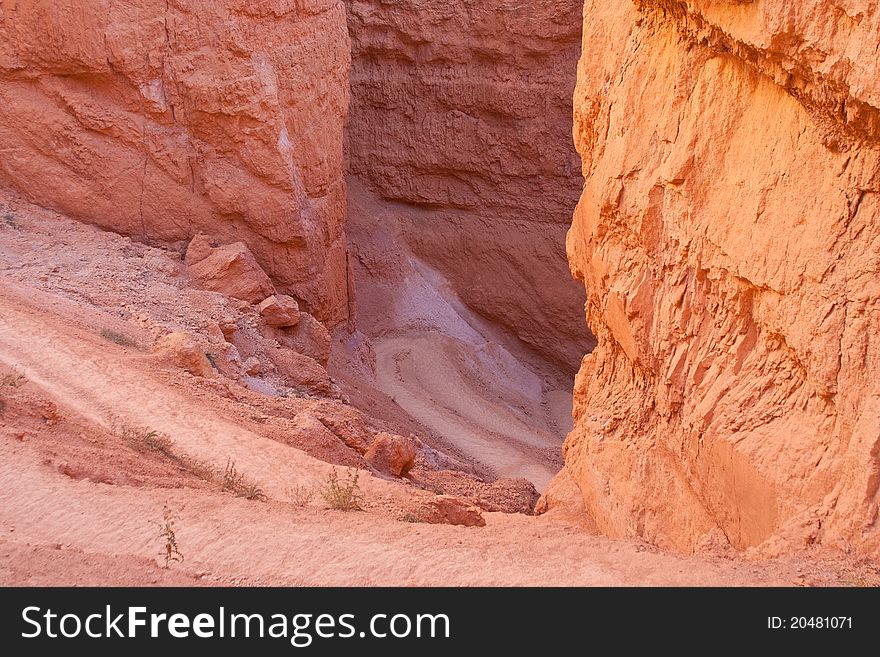 Path in Bryce Canyon National Park in Utah. Path in Bryce Canyon National Park in Utah