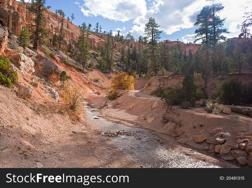 Path along a creek in the Utah mountains