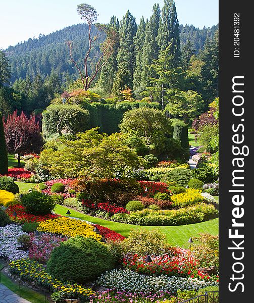 Flower arrangement in the Butchart Gardens, British Columbia. Flower arrangement in the Butchart Gardens, British Columbia