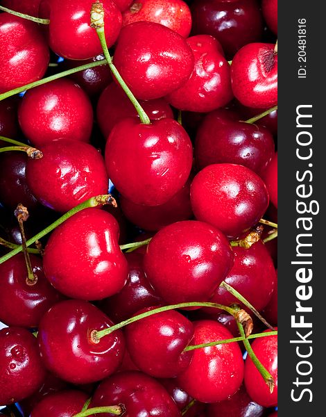 Many fresh red sweet cherry closeup