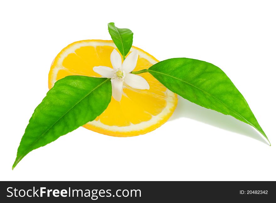Orange, fower with leaves and a slice 
 Isolated on a white background.