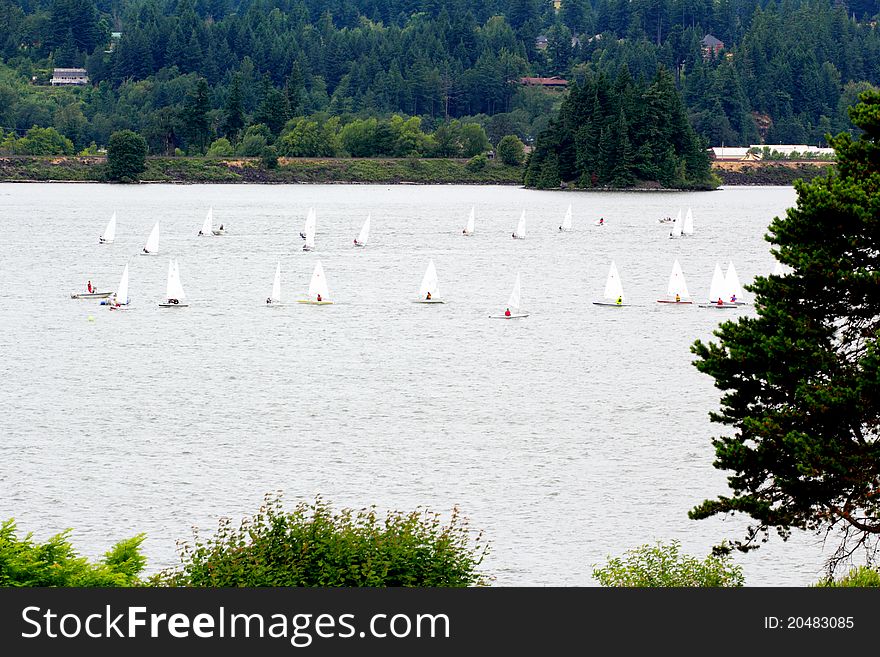 Several small sailboats in a sailing school on the river. Several small sailboats in a sailing school on the river.