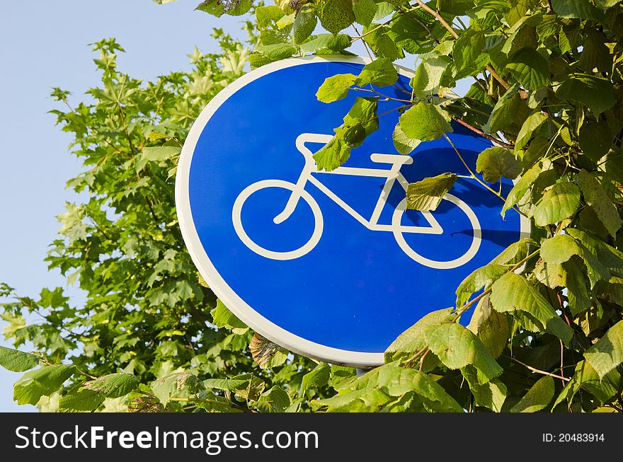 Bicycle track sign and tree leafs