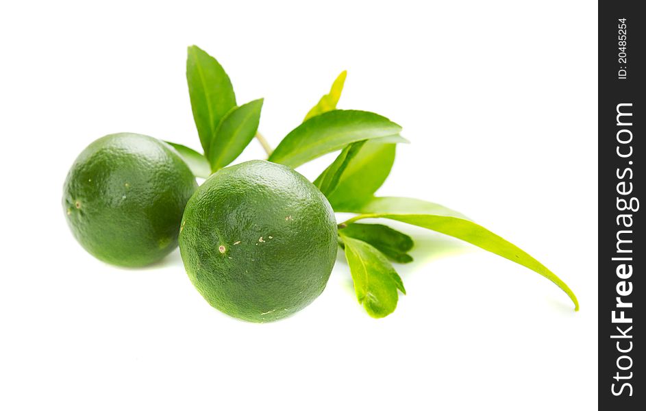 Green lemons with leaves