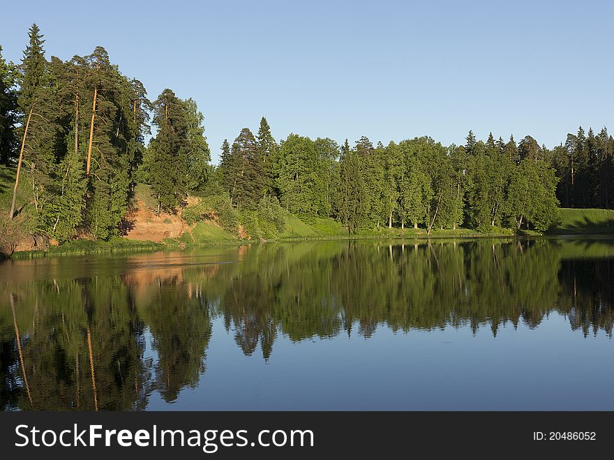 Forest on the shores of Lake. Forest on the shores of Lake