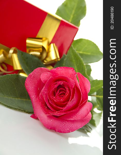 Red Rose, gift box