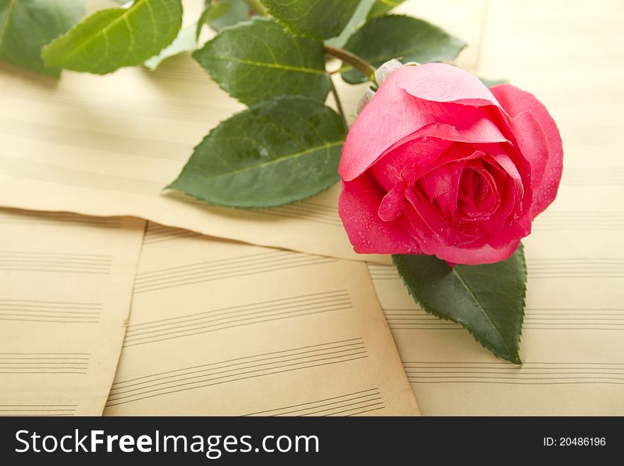 Old Sheet music sheets and a red rose. Old Sheet music sheets and a red rose
