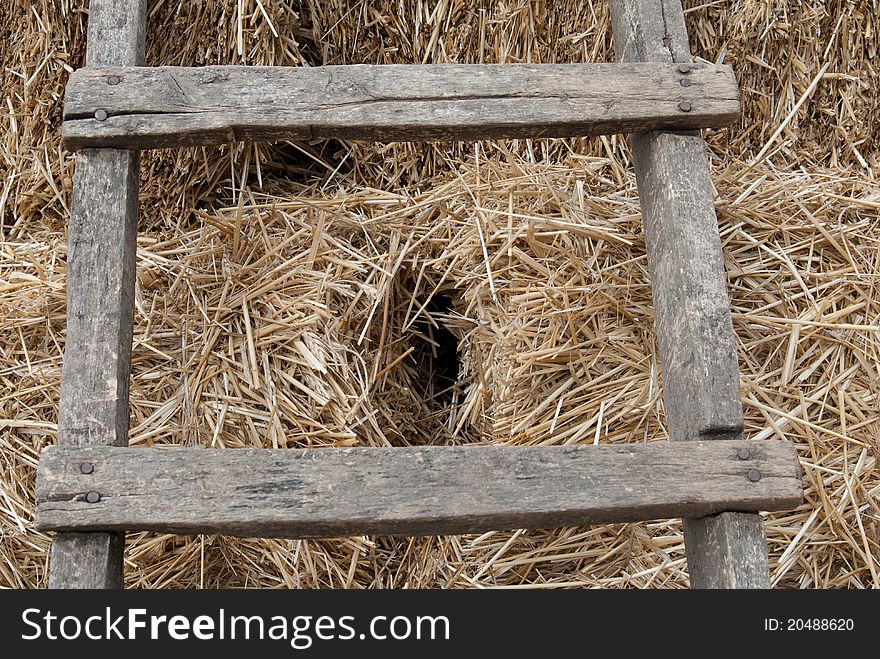 An old ladder put against haystack. An old ladder put against haystack