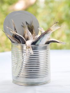 Fresh Fish Royalty Free Stock Images Fresh Fish Royalty Free Stock Images