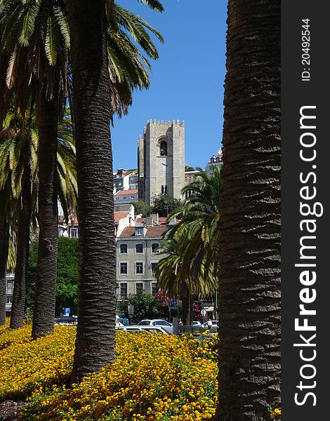 Lisbon Cathedral (SÃ© de Lisboa). Summer, beautiful gardens and flowers.