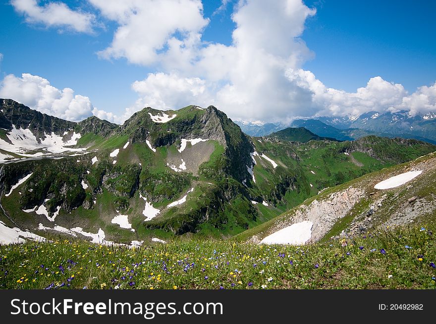 Mountain landscape with flowers and blue sky