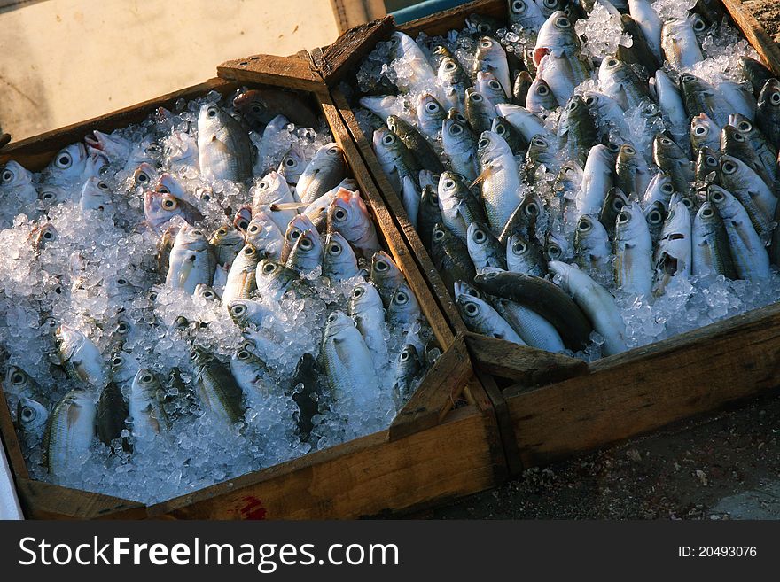 Small fish at the market