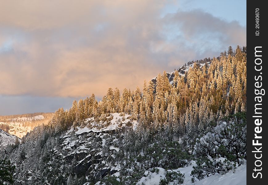 Sun setting over snow covered pine trees after a late spring storm in yosemite valley. Sun setting over snow covered pine trees after a late spring storm in yosemite valley.