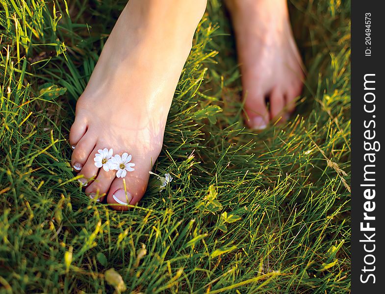 Relaxing woman feet among white flowers