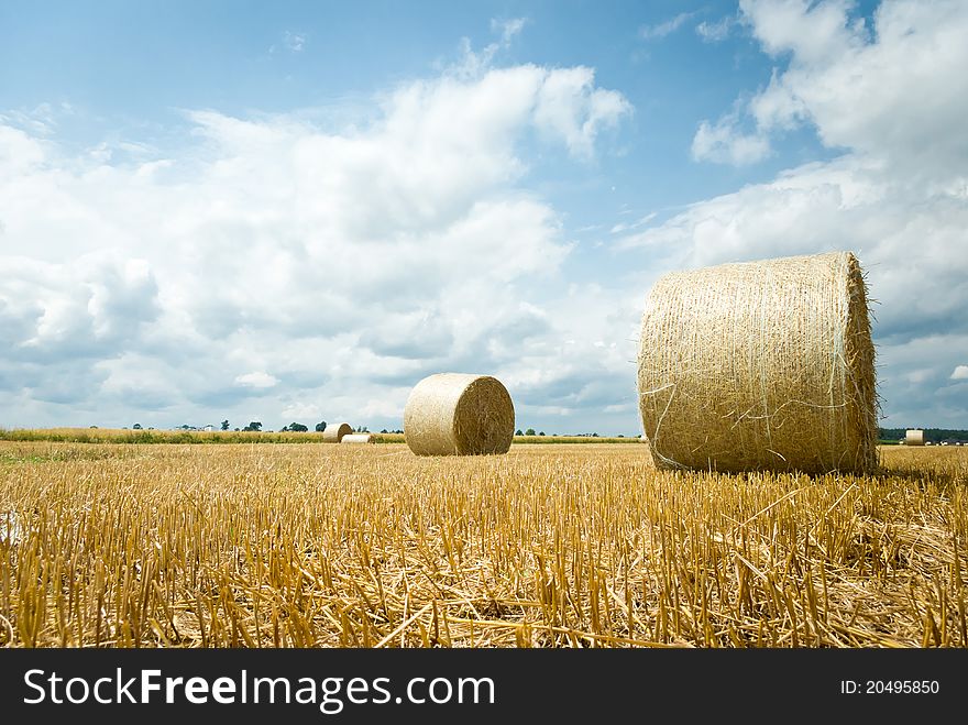 Harvested field with straw bales in summer