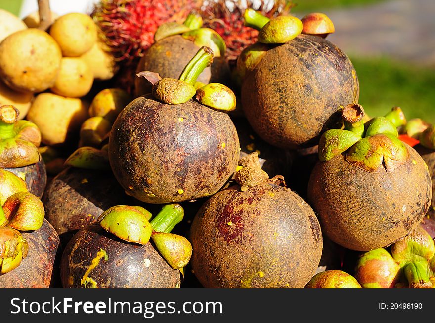 Image of mangosteen fruit in thailand