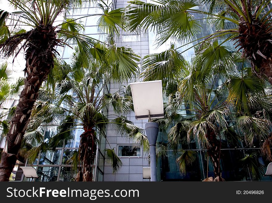 Street light with plants and modern building