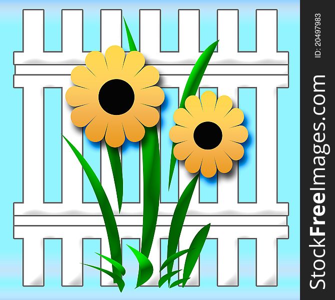 Sunflowers and white fence on blue background. Sunflowers and white fence on blue background