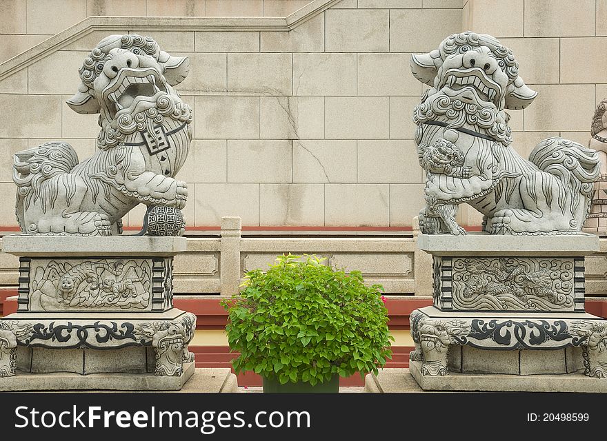 Lion statue in fron of Chinese temple