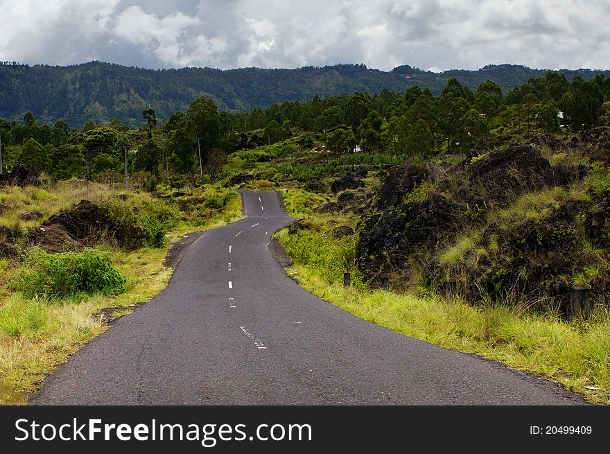 Curve road through to jungle